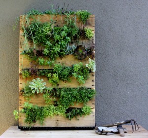 Quelle: http://www.designsponge.com/2011/09/diy-project-recycled-pallet-vertical-garden.html#