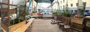 Grüne Oase Einweihungsfeier @ Grüne Oase | Regensburg | Bayern | Deutschland